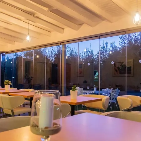 酒店 Evripidis 阿菲托斯