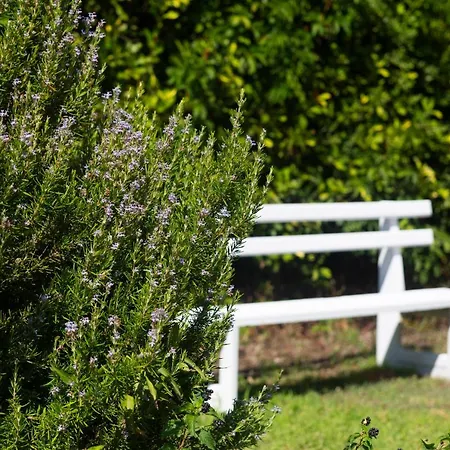 Evripidis Отель Афитос