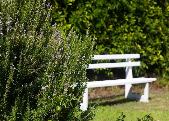 Evripidis Hotel Afytos